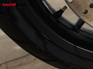 BENELLI LEONCINO 500