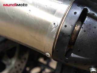 BENELLI LEONCINO 500