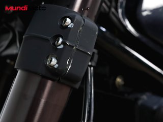 BENELLI LEONCINO 500