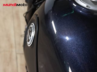 BENELLI LEONCINO 500