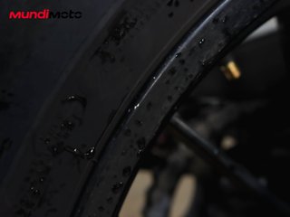BENELLI LEONCINO 500