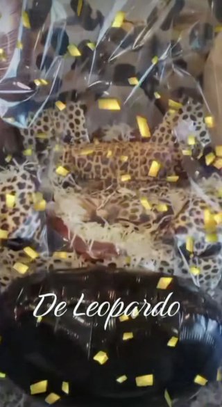 Cesta Regalo Leopardo