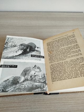 El Maravilloso mundo de los animales