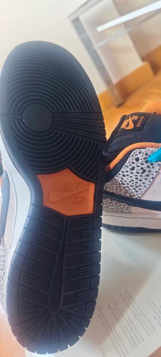 Nike SB Dunk Low Pro Beige Multicolor