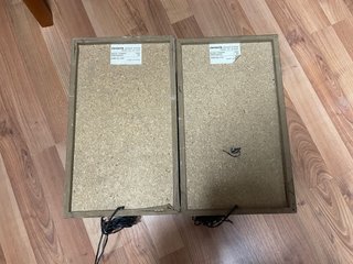Altavoces Aiwa SX-N220 30W 4 Ohm