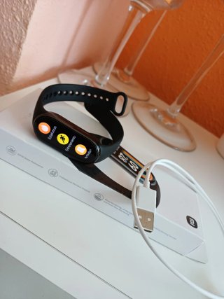 Pulsera Inteligente Xiaomi Smart Band 8