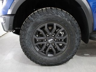 FORD Ranger 2.0 Ecobl 154kW eAWD D Cab Raptor AT
