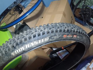 Maxxis Forekaster 29x2.40 Maxxterra Exo+ E50