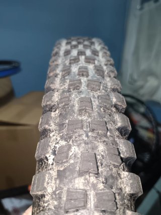 Maxxis Forekaster 29x2.40 Maxxterra Exo+ E50