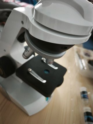 Microscopio Discovery Kids