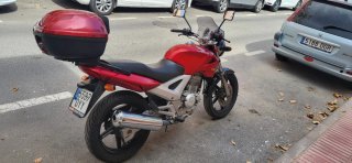 Honda CBF 250 Naked 2006