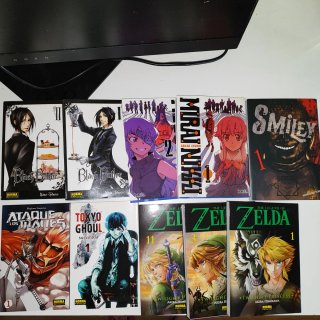 Intercambio de Manga