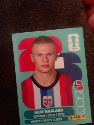 Cromo Erling Haaland Manchester City FC