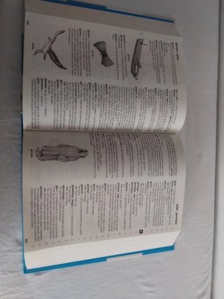 JO, TU, TOTS NOSALTRES 1 PRIMÀRIA EDUCACIÓ MORA...
