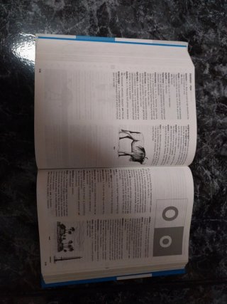 NOU DICCIONARI ESCOLAR DE LA LLENGUA CATALANA (...