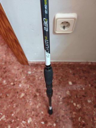 Cañas de pesca sin carretes