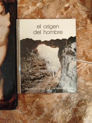 Lote libros de texto