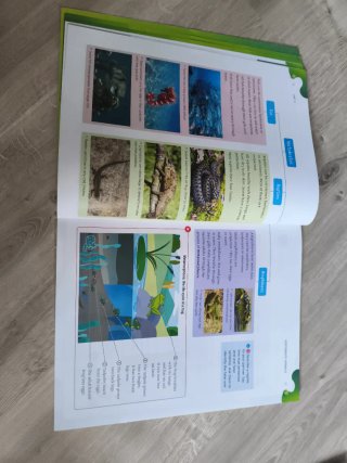 Ciencias Naturales Outside the Box 3 Primaria