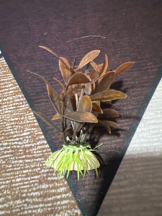 Planta artificial para acuario