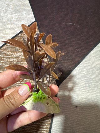 Planta artificial para acuario