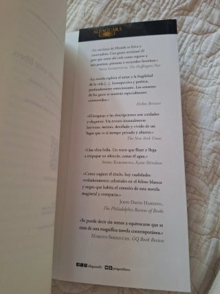 El gato que venía del cielo