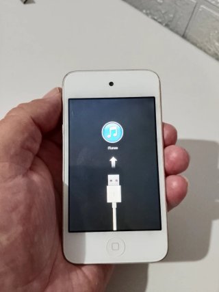 iPod touch Apple reproductor MP3 vintage leer