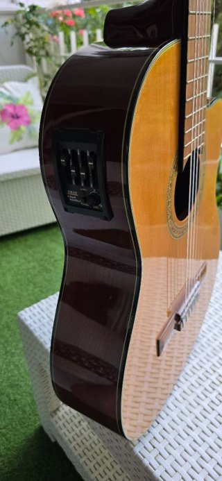 Guitarra Española Electrificada