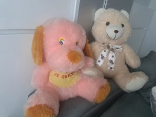 Peluche perro rosa y oso peluche