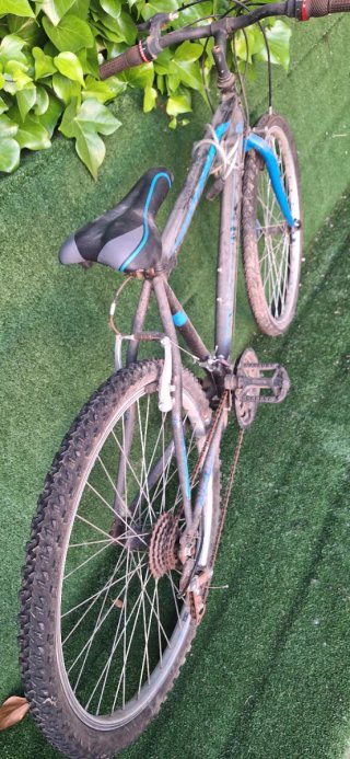 Bicicleta adulto 26 pulgadas reparar