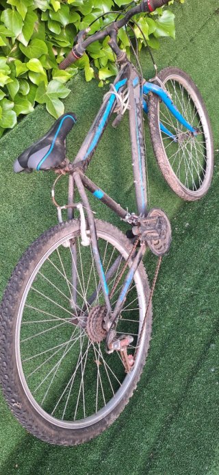 Bicicleta adulto 26 pulgadas reparar