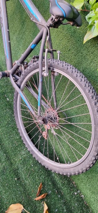 Bicicleta adulto 26 pulgadas reparar