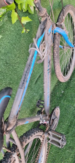 Bicicleta adulto 26 pulgadas reparar
