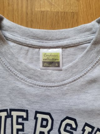 Camiseta Carducci Universidad Florencia Gris