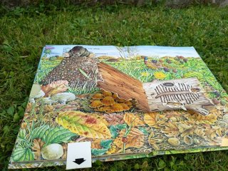 La Vie secrète des animaux