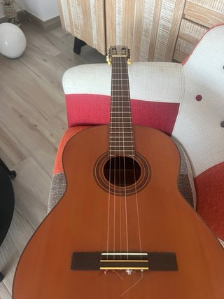 Guitarra Española Yamaha G50A
