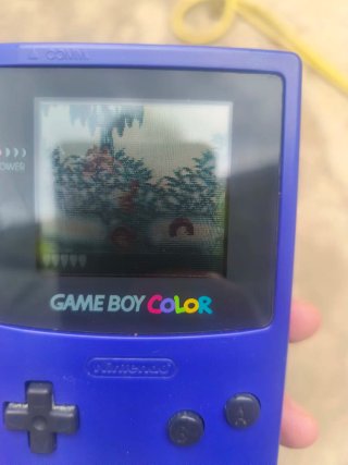 Nintendo Game Boy Color Morado