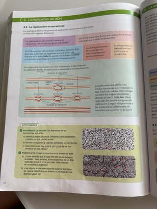 Biología, 2 Bachillerato, Proyecto Construyendo...