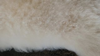 Alfombra Piel de Oveja Beige/Blanca x 2
