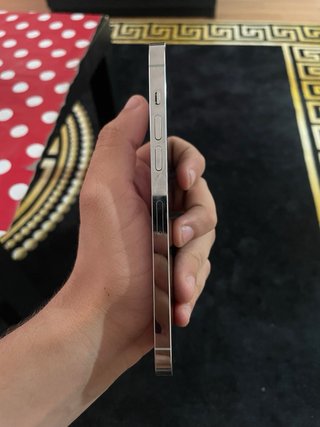 iPhone 14 Pro Max Argento