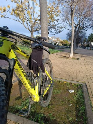 Bicicleta Bergamont Revolux 2018