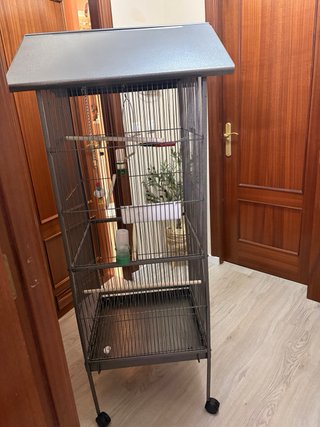 Jaula para pájaros grande con ruedas
