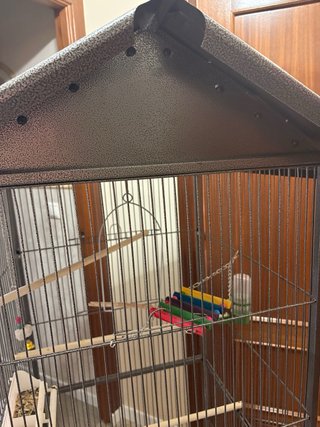 Jaula para pájaros grande con ruedas