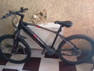 Bicicleta Eléctrica Biwibk Nanda