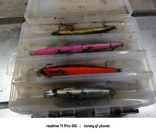 Señuelos de pesca Rapala