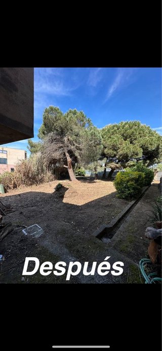 Jardineria Tala y Poda   Jardines de ensueño