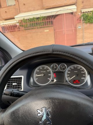Peugeot 307 2002