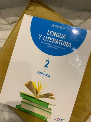 Lengua y literatura, Bachillerato 2