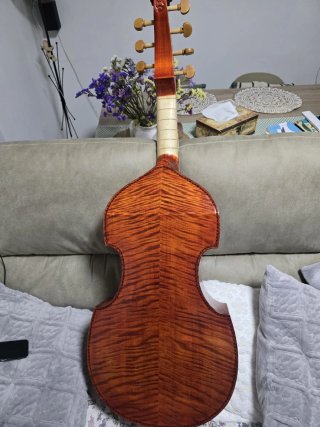Viola da Gamba estilo francés