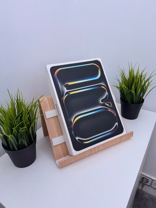 iPad Pro M4 gris espacial