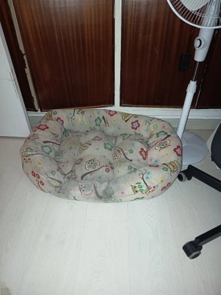 Regalo cama para perro
